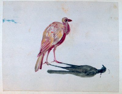 Fugl, 1820-1876 af George Sand