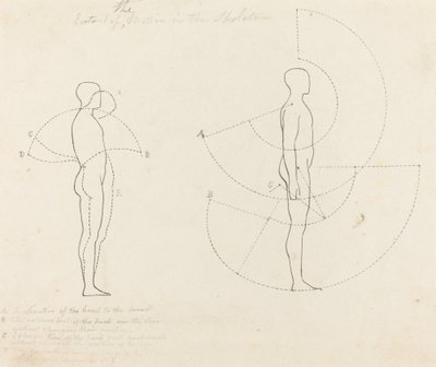 Bevægelsens omfang vist i to figurer af George Scharf after John Flaxman