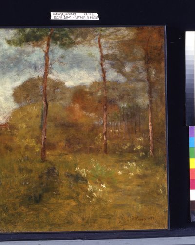 Orange Road, Tarpon Springs (olie på lærred) af George Snr. Inness