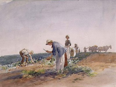 Roeafgrøden (akvarel og gouache) af George Soper