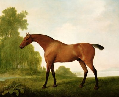 En bugt fuldblod i et landskab af George Stubbs