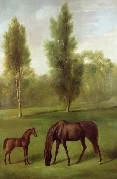 En kastanjehoppe og føl i et skovklædt landskab, ca. 1761-63 (olie på lærred) af George Stubbs