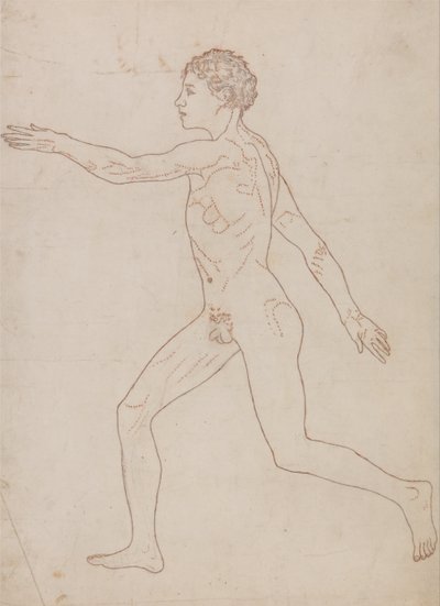 En sammenlignende anatomisk udstilling af menneskekroppens struktur med en tiger og en almindelig høne: Menneskefigur, set fra siden (oversigtsstudie på bagsiden af tabel VIII) af George Stubbs