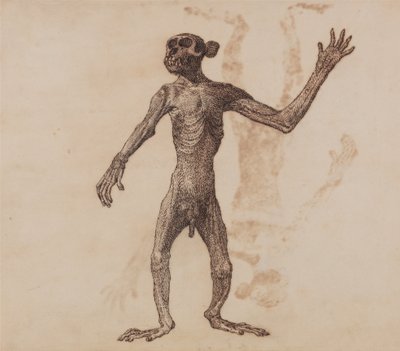 En sammenlignende anatomisk fremstilling af menneskekroppens struktur med tigerens og den almindelige hønsefugls:  Abe stående, set forfra af George Stubbs
