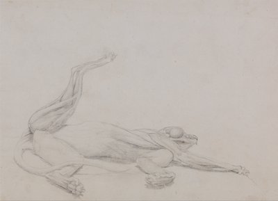 En sammenlignende anatomisk fremstilling af menneskekroppens struktur med en tiger og en almindelig hønsefugl:  Tigerens krop, liggende, set ventralt af George Stubbs