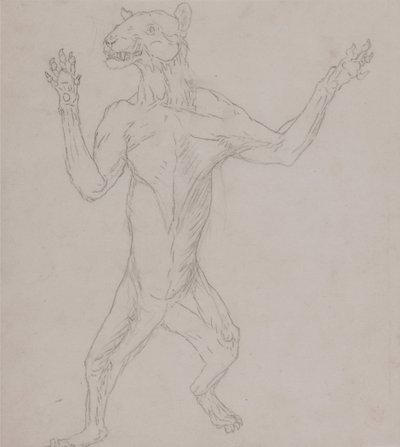 En sammenlignende anatomisk fremstilling af menneskekroppens struktur med tigerens og den almindelige hønsefugls:  Tigerens krop, stående i menneskelig stilling af George Stubbs