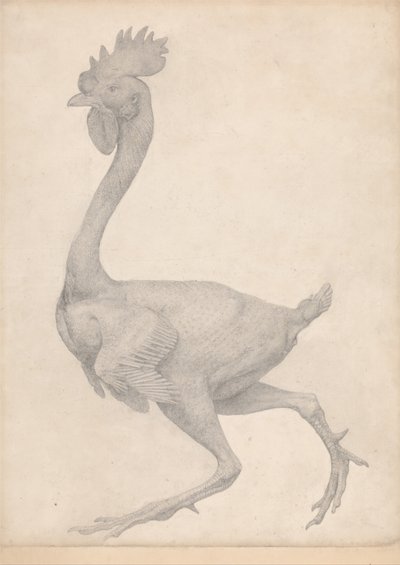 En sammenlignende anatomisk udstilling af menneskekroppens struktur med en tiger og en almindelig høne: Hønsefugl, set fra siden med de fleste fjer fjernet (færdigt studie til tabel X) af George Stubbs