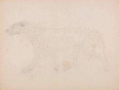 En sammenlignende anatomisk fremstilling af menneskekroppens struktur med tigerens og en almindelig hønsefugls: Tigerkrop, set fra siden (undersøgelse af musklerne til nøgletallet til tabel IX) af George Stubbs