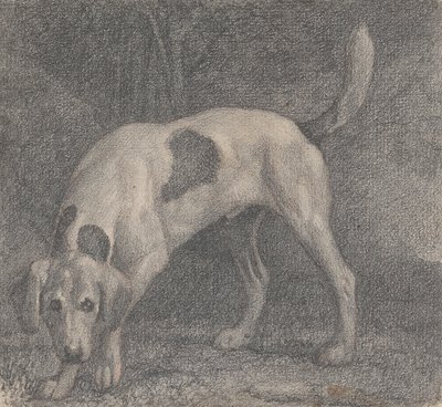 En rævehund på duften af George Stubbs
