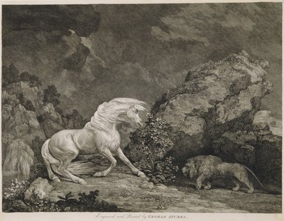 En hest forskrækket af en løve, indgraveret af kunstneren af George Stubbs