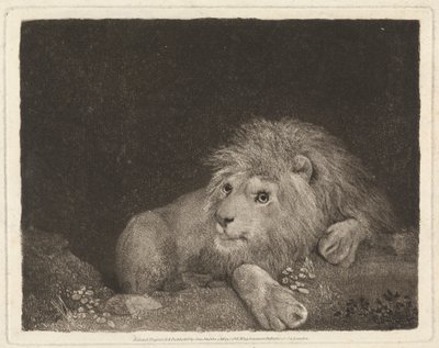 En løve [En liggende løve] af George Stubbs