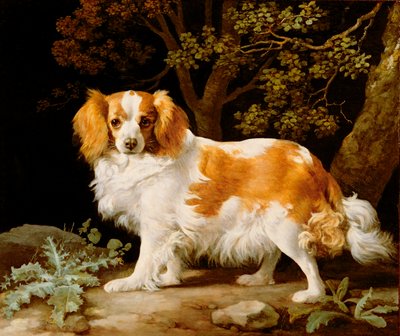 En lever og hvid King Charles Spaniel i et skovklædt landskab af George Stubbs