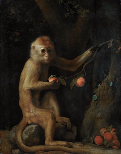 En abe af George Stubbs