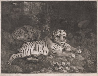 En tiger og en sovende leopard af George Stubbs