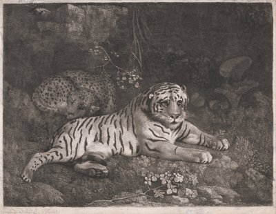 En tiger og en sovende leopard af George Stubbs