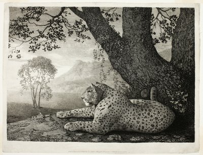 En Tyger (En liggende leopard ved et træ) af George Stubbs