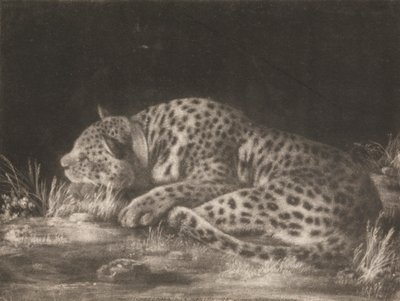 En Tyger (sovende leopard) af George Stubbs