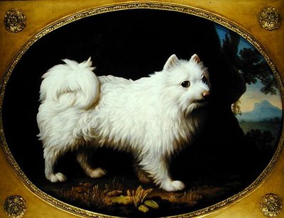 A White Spitz, ca. 1770 (olie på emalje porcelæn) af George Stubbs