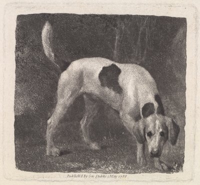 Hund (A Foxhound on the Scent) indgraveret af kunstneren, pub. 1788 af George Stubbs