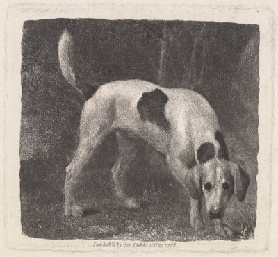 Hund [En rævehund på duften] af George Stubbs