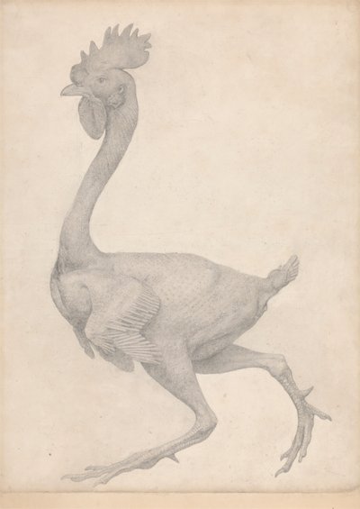Høns, set fra siden med de fleste fjer fjernet (færdig undersøgelse for tabel X) af George Stubbs