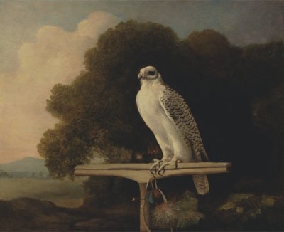 Grønlandsk falk af George Stubbs