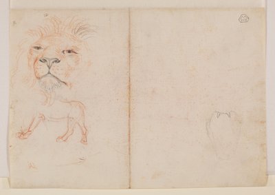 Hoved af en løve, verso, 18. eller 19. århundrede af George Stubbs