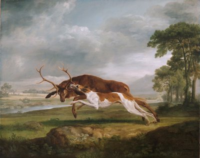 Hound Coursing en hjort af George Stubbs