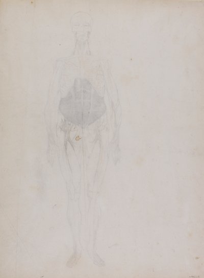 Menneskelig figur, set forfra (stort set i omrids) af George Stubbs