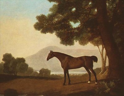 "Johnny", en bugthingst i et skovklædt landskab af George Stubbs