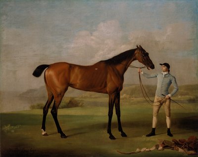 Molly Long-legs med sin jockey af George Stubbs