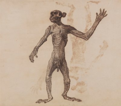 Abe stående, set forfra af George Stubbs