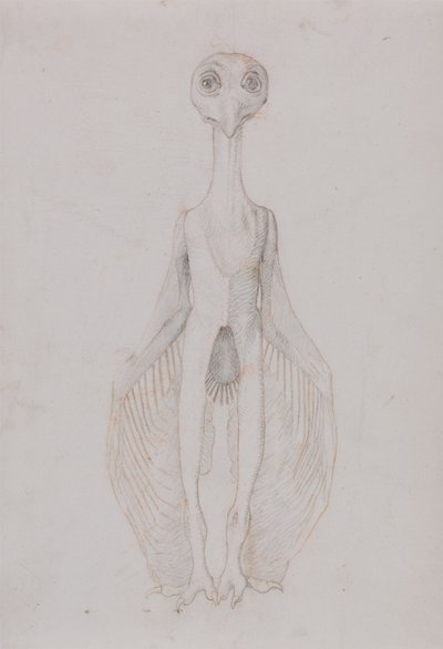 Ugle stående, forfra af George Stubbs
