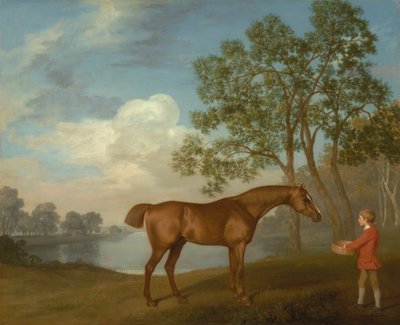 Græskar med en stalddreng af George Stubbs