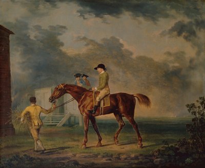 Sir Salomon, A Bay Racehorse with J.Singleton, Newmarket (olie på lærred) af George Stubbs