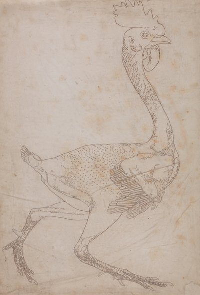 Studie af en høns, sideværts, fra en sammenlignende anatomisk fremstilling af den menneskelige krops struktur med en tiger og en almindelig høns, 1795-1806 (grafit og rødt kridt på papir) af George Stubbs