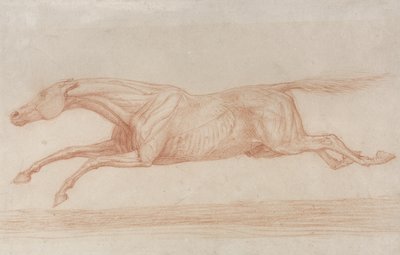 Undersøgelse af en væddeløbshest i aktion: galopperende til venstre (rødt kridt på gulfarvet papir) af George Stubbs