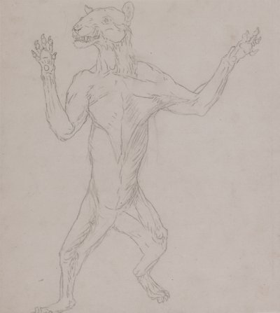 Studie af en tiger, der står i menneskelig stilling, fra en sammenlignende anatomisk fremstilling af den menneskelige krops struktur med en tiger og en almindelig høns, 1795-1806 (grafit på tyndt vævet papir) af George Stubbs
