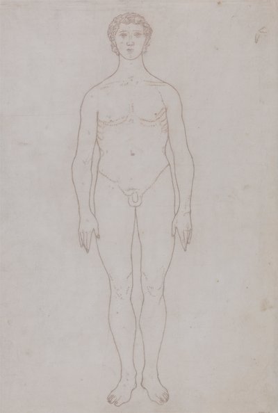 Studie af den menneskelige figur, forfra (konturtegning til tabel VI) af George Stubbs