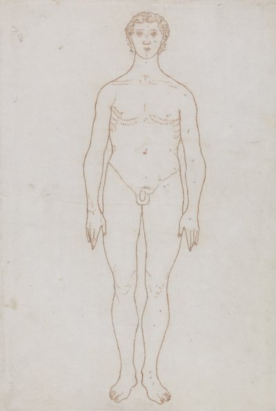 Studie af den menneskelige figur, forfra, fra 