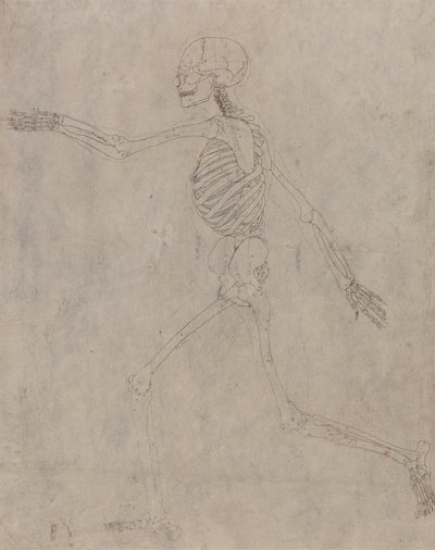 Studie af den menneskelige figur, sideværts, fra en sammenlignende anatomisk fremstilling af den menneskelige krops struktur med en tiger og en almindelig høns, 1795-1806 (grafit med blæk på kraftig vævning af George Stubbs