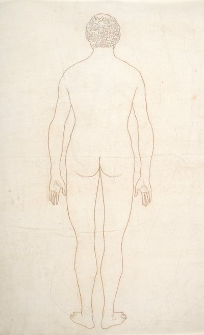 Studie af den menneskelige figur, bagfra, fra en sammenlignende anatomisk fremstilling af den menneskelige krops struktur med en tiger og en almindelig høns, ca. 1795-1806 (blæk på papir) af George Stubbs