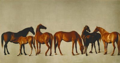 Stutterier med fyldninger af George Stubbs