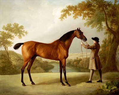 Tristram Shandy, en bugtende væddeløbshest holdt af en brudgom i et vidtstrakt landskab, ca. 1760 af George Stubbs