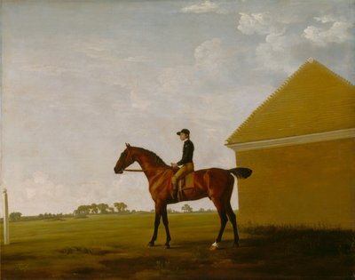 Turf, med jockey oppe, på Newmarket af George Stubbs