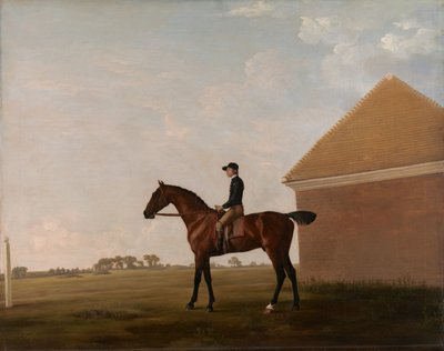 Turf, med Jockey oppe, ved Newmarket, ca. 1766. af George Stubbs