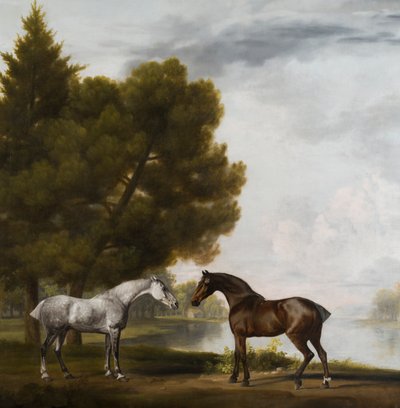 Two Horses Communing in a Landscape, ca. 1765-80 (olie på lærred) af George Stubbs