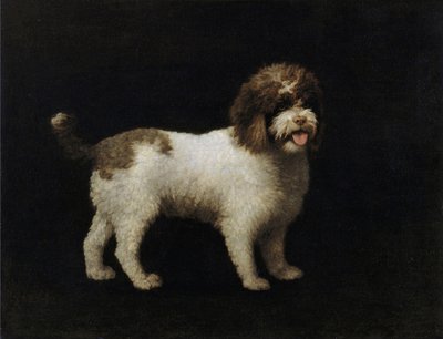 Vandspaniel af George Stubbs