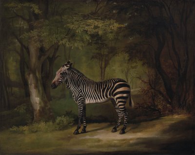 Zebra af George Stubbs