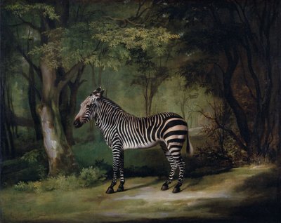Zebra af George Stubbs